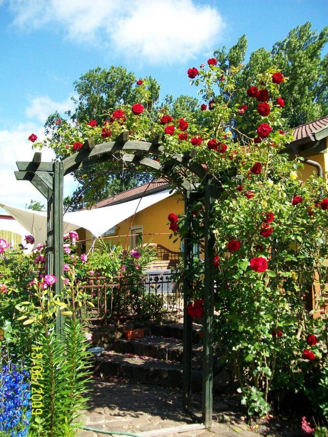 Barrel -Schlafen Im Fass Hotel Gorleben Buitenkant foto
