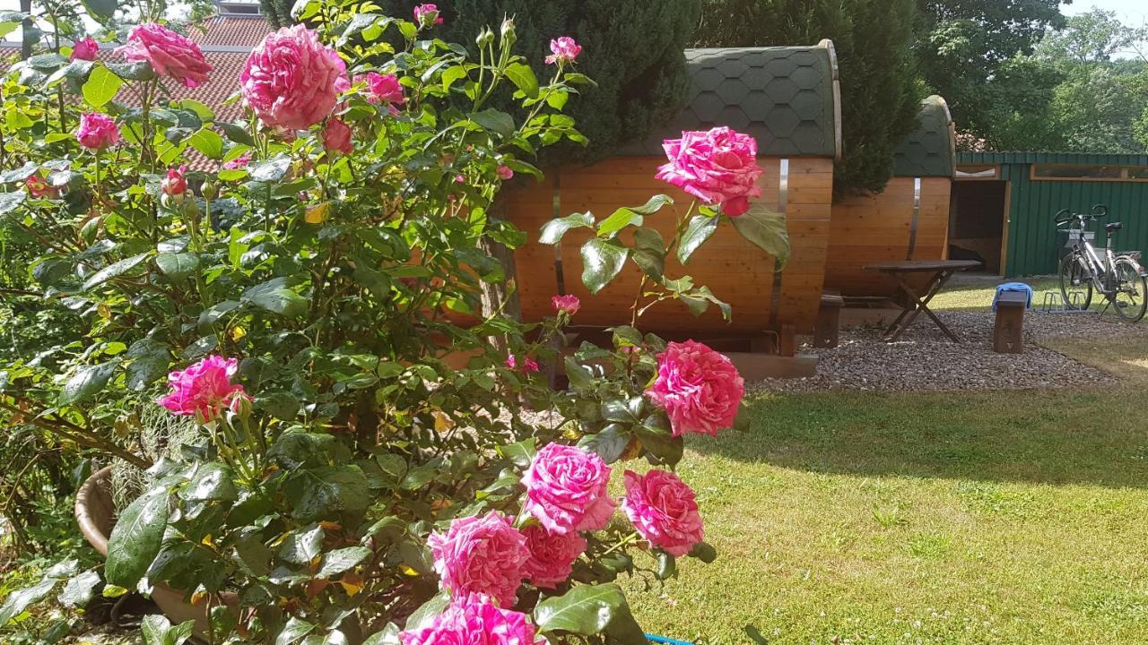 Barrel -Schlafen Im Fass Hotel Gorleben Buitenkant foto